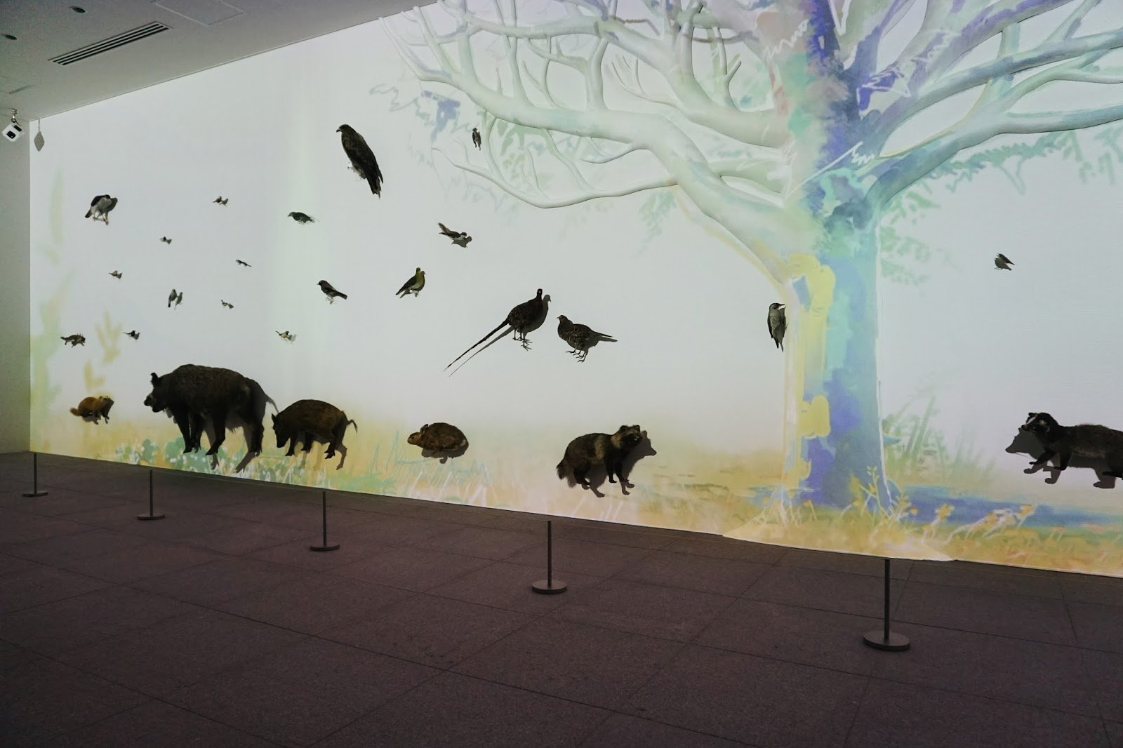 🏛️ 다카오 599 뮤지엄(타카오 고햐쿠큐주큐 뮤지아무) 이미지 4